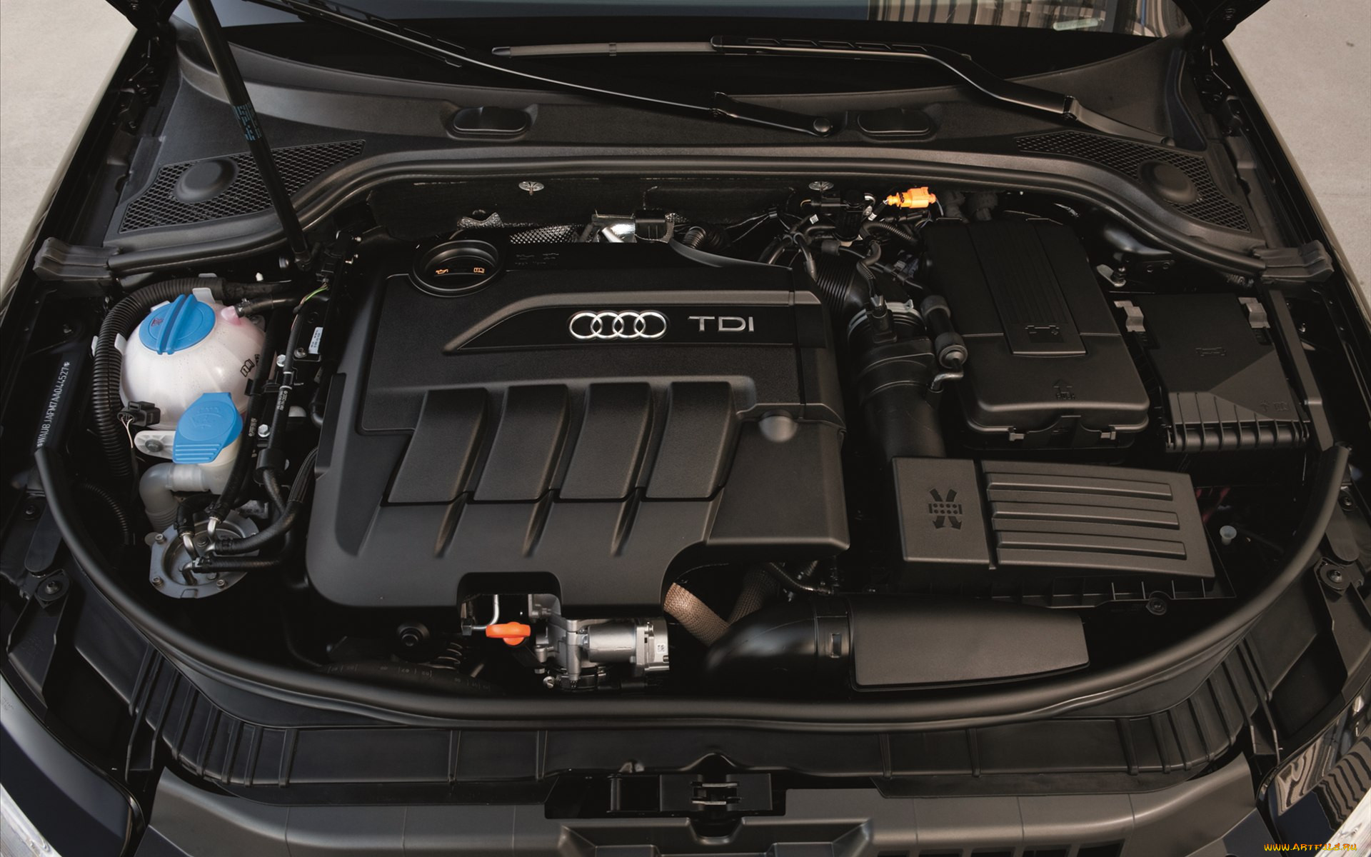 audi, a3, tdi, 2011, , 
